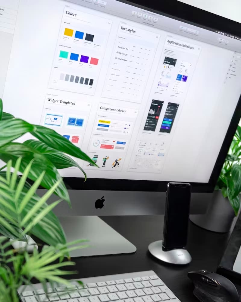 Web Design and Web Development